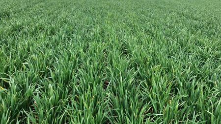 Claydon købes hos Brørup Traktor- & Maskincenter