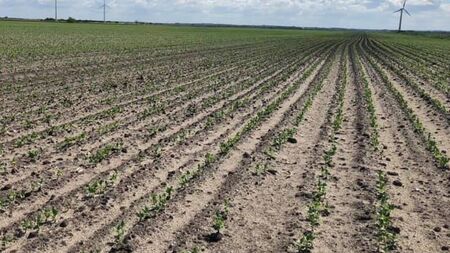 Claydon købes hos Brørup Traktor- & Maskincenter