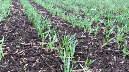 Claydon købes hos Brørup Traktor- & Maskincenter