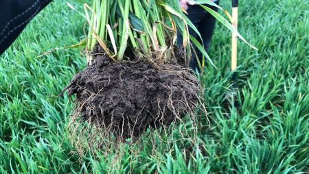 Claydon købes hos Brørup Traktor- & Maskincenter