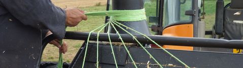 EMILY VULCANO (4) - Brørup Traktor- & Maskincenter