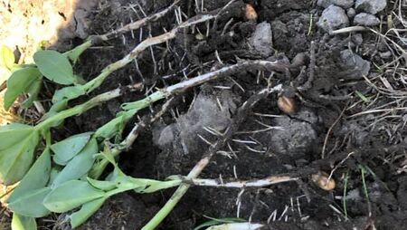 Claydon købes hos Brørup Traktor- & Maskincenter