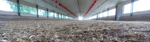 EMILY VULCANO (2) - Brørup Traktor- & Maskincenter