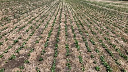 Claydon købes hos Brørup Traktor- & Maskincenter